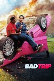 Bad Trip (2021) Hindi Dubbed