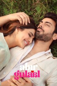 Abir Gulaal (2025) Hindi TS