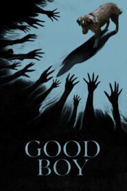 Good Boy (2025) Hindi Dubbed WEBRip